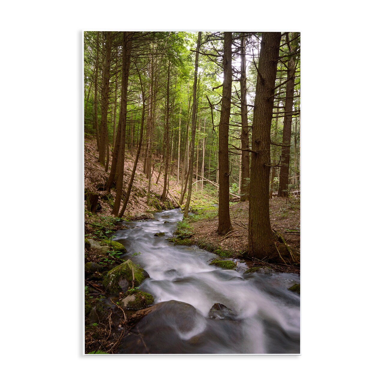 Stupell Industries Mist In The Adirondacks Wall Plaque, design by James Rodewald